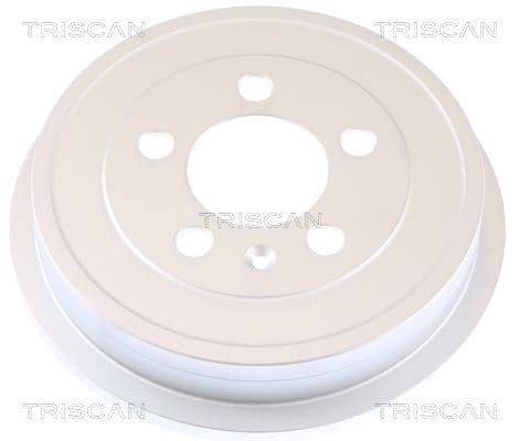 Tambur frana TRISCAN 8120 29222C
