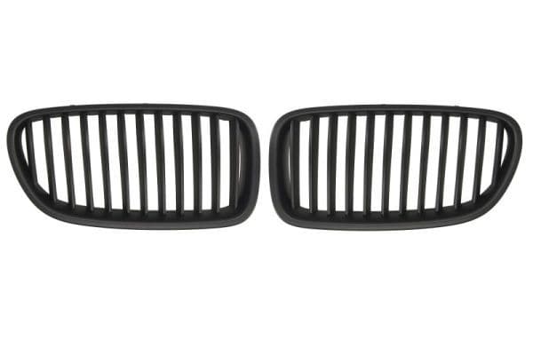 Grila radiator BLIC 6502-07-0067991KP