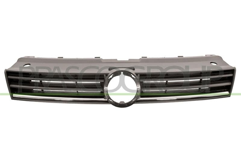 Grila radiator PRASCO PremiumCertified VG0242001