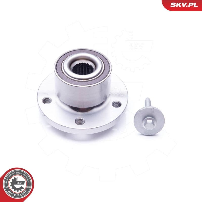 Set rulment roata ESEN SKV 29SKV177