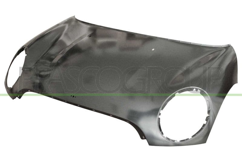 Capota motor PRASCO MN3103100