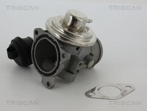 Supapa EGR TRISCAN 8813 29057