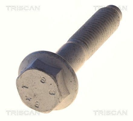 Bolturi fixare, brat suspensie TRISCAN 8501 0538