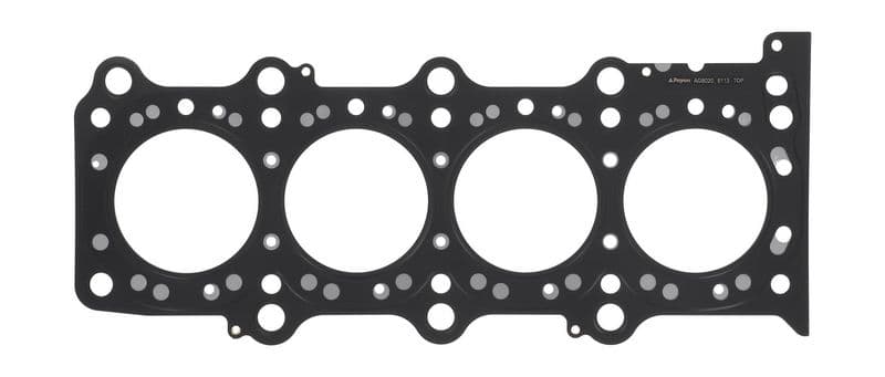 Garnitura, chiulasa PAYEN AG8020