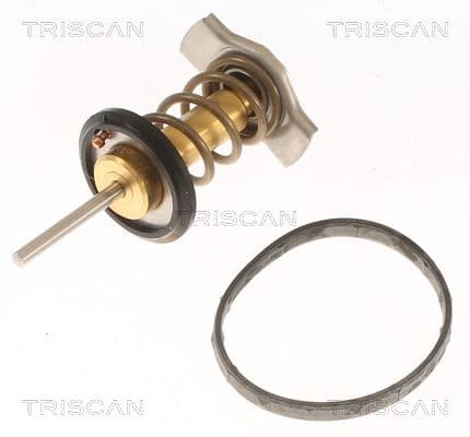 termostat,lichid racire TRISCAN 8620 50682