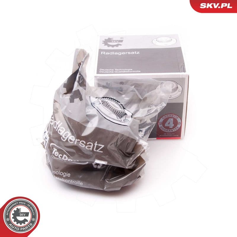 Set rulment roata ESEN SKV 29SKV028