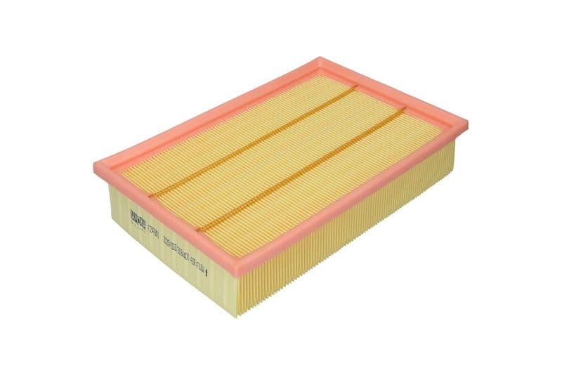Filtru aer KAMOKA F247801