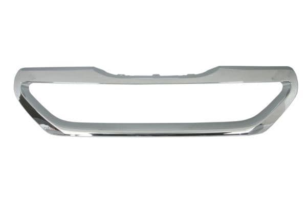 Banda de protectie, grila radiator BLIC 6502-07-5516992P