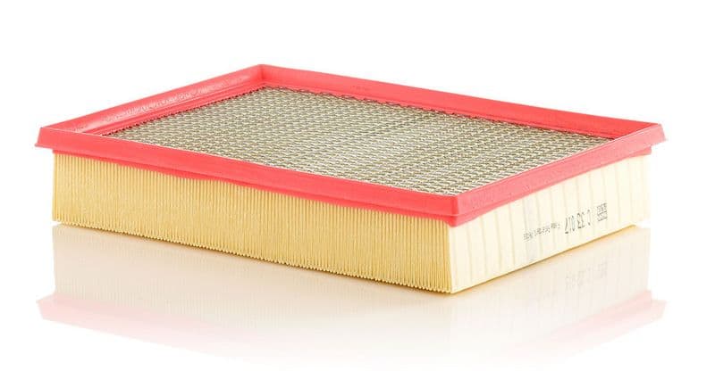 Filtru aer MANN-FILTER C 33 017