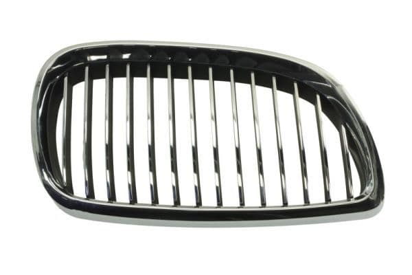 Grila radiator BLIC 6502-07-00629916P