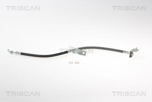 Furtun frana TRISCAN 8150 18164
