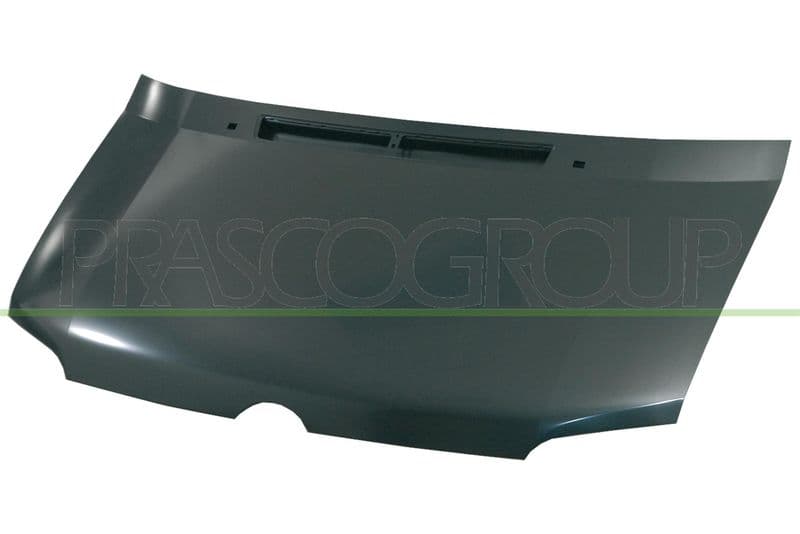 Capota motor PRASCO ME9173100