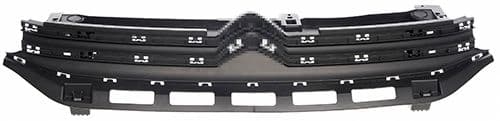 Grila radiator PHIRA 25301610