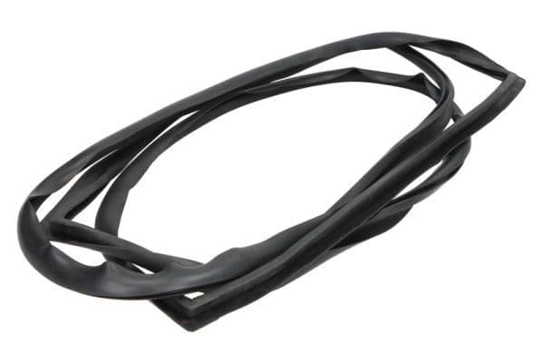 Garnitura, parbriz BLIC 5703-04-6038060Q