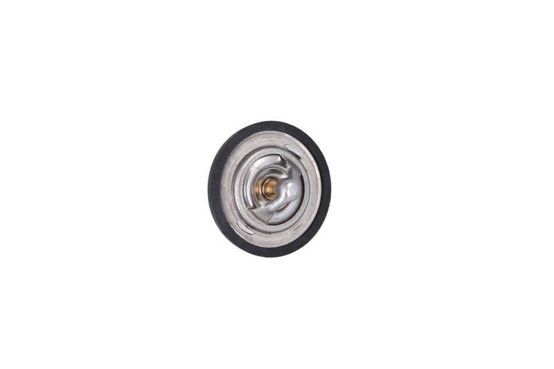 termostat,lichid racire KAMOKA 7710056