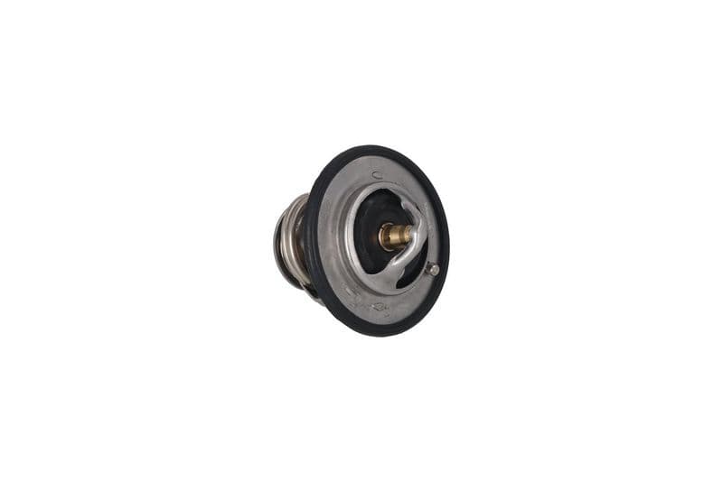 termostat,lichid racire KAMOKA 7710131