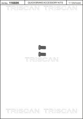 Set surub, disc frana TRISCAN 8105 116009