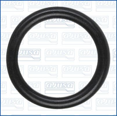 Garnitura termostat AJUSA 16098500