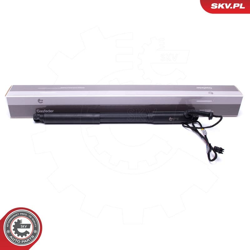 Motor electric, haion ESEN SKV 52SKV927
