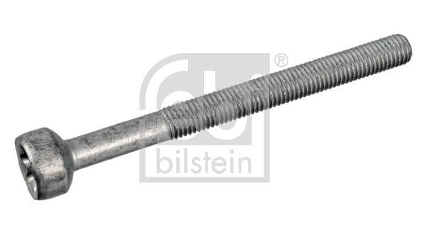 Surub, suport injector FEBI BILSTEIN 172930