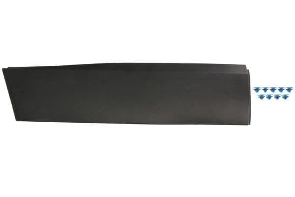 Elemente decorative/protectie, portiera BLIC 5703-04-3206574P