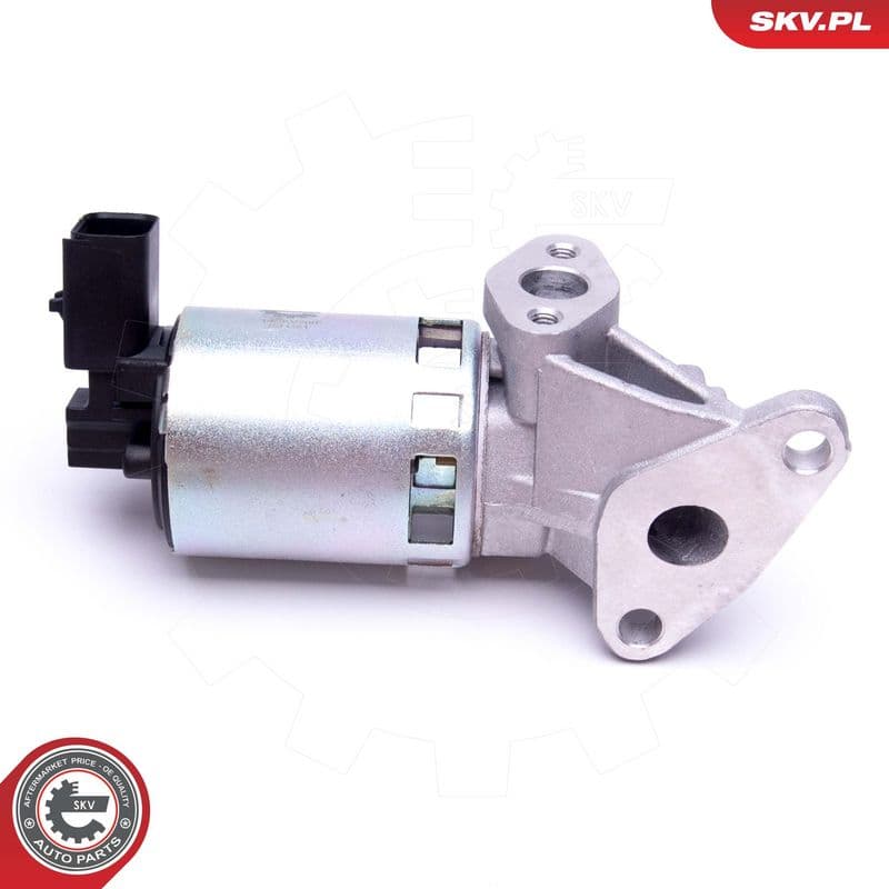 Supapa EGR ESEN SKV 14SKV208