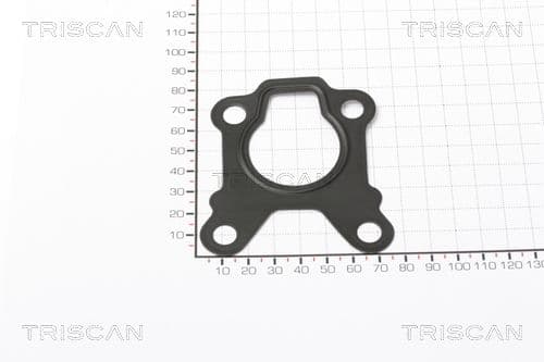 Garnitura TRISCAN 8813 99123