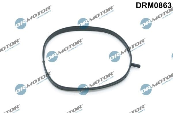 Garnitura, Carcasa galerie admisie Dr.Motor Automotive DRM0863