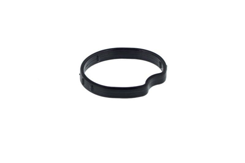 Garnitura, carcasa termostat TOPRAN 304 786