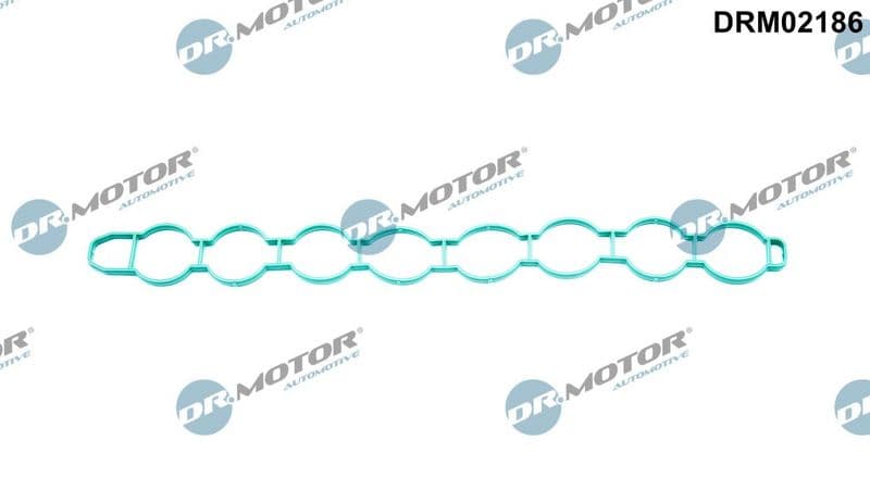 Garnitura, galerie admisie Dr.Motor Automotive DRM02186