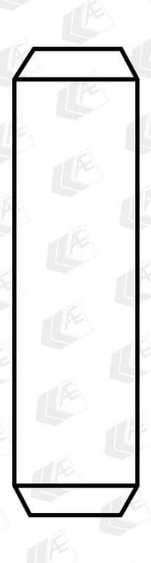 ghid supapa AE VAG92044V1