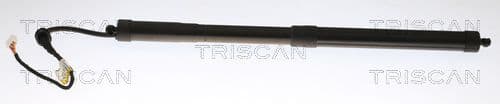 Amortizor portbagaj TRISCAN 8710 13302