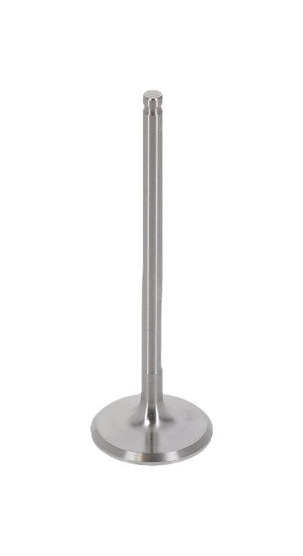 Supapa admisie AE V95159