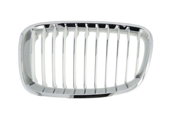 Grila radiator BLIC 6502-07-0086993P