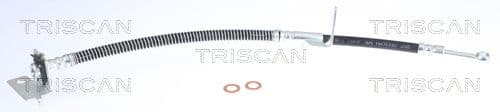 Furtun frana TRISCAN 8150 43119