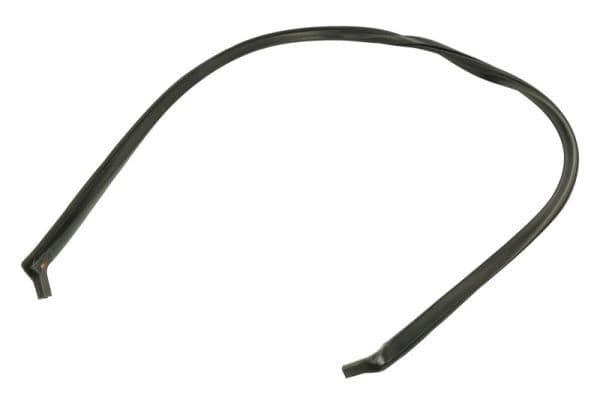 Elemente decorative/protectie, parbriz BLIC 5703-04-6037755Q