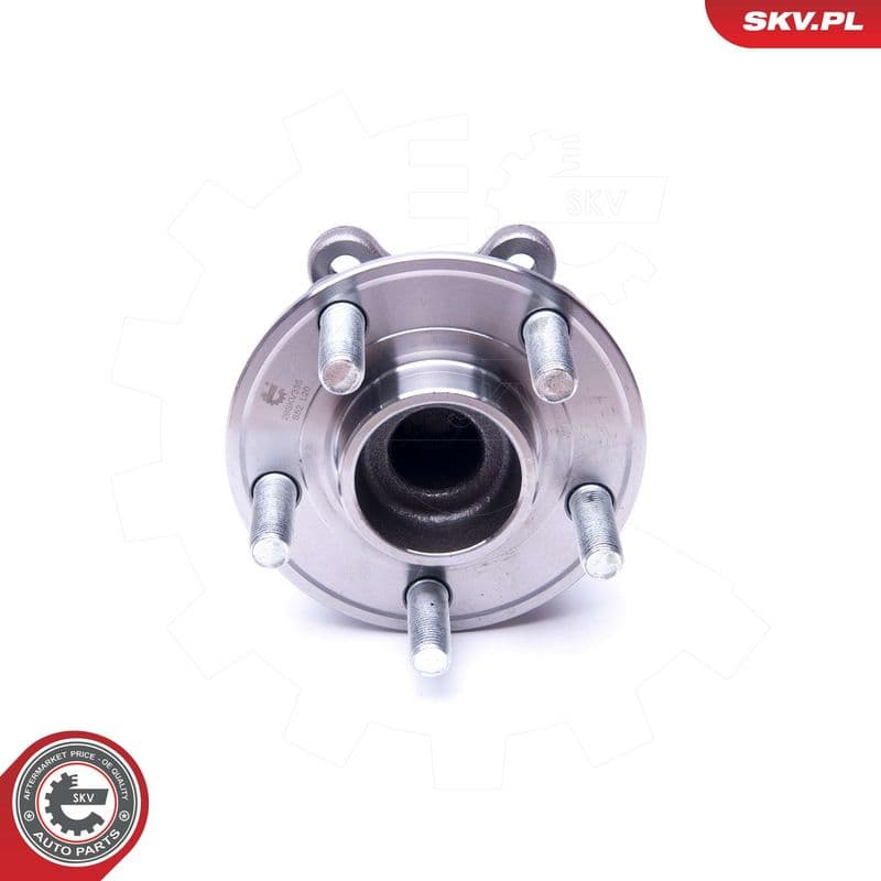 Set rulment roata ESEN SKV 29SKV335