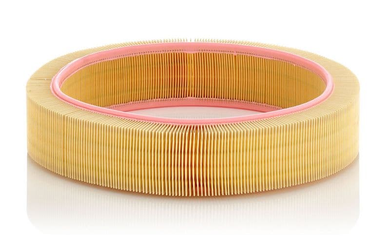 Filtru aer MANN-FILTER C 41 173