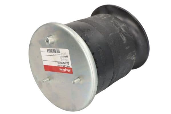 Burduf, suspensie pneumatica Magnum Technology 5002-03-0316
