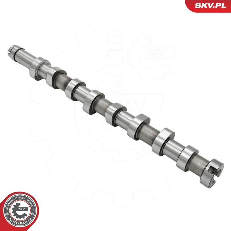 Ax cu came ESEN SKV 80SKV001
