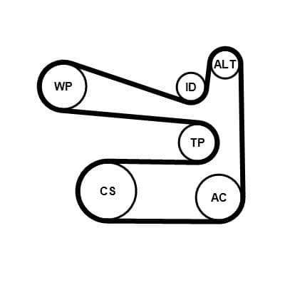 Pompa apa + Set curea transmisie cu caneluri CONTITECH 6PK1693WP1
