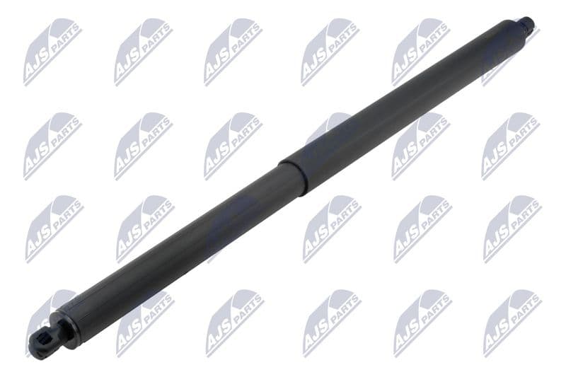 Amortizor portbagaj NTY AE-BM-117
