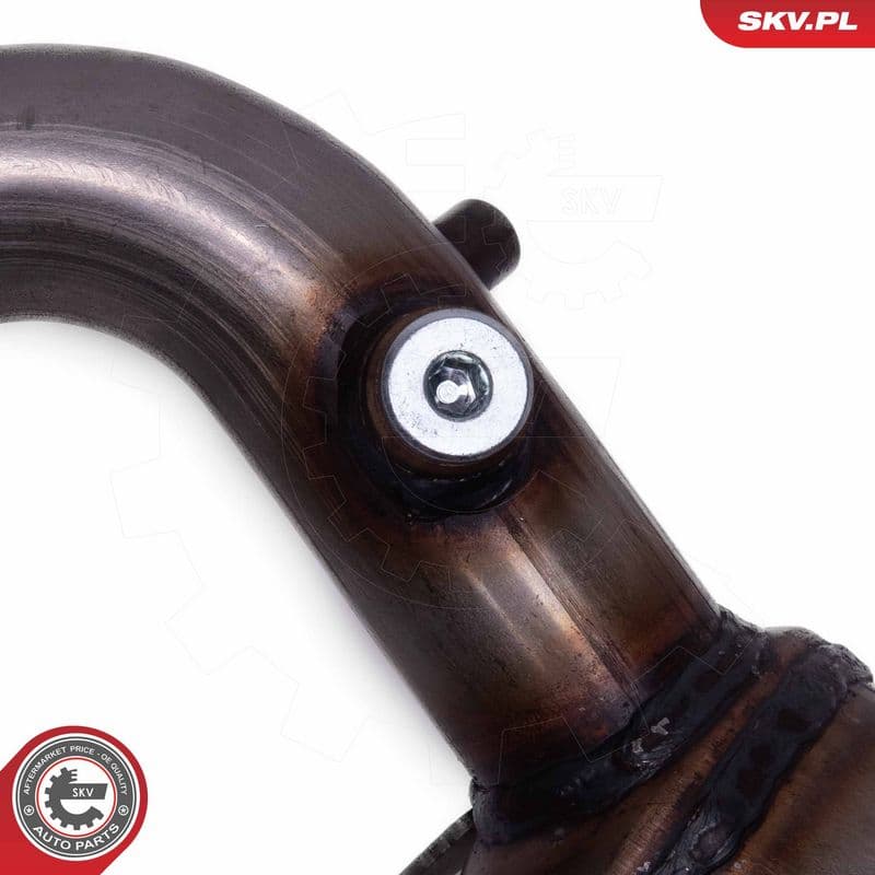 Catalizator ESEN SKV 62SKV025