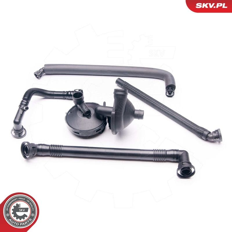 Set reparatie, aerisire baie ulei ESEN SKV 31SKV040