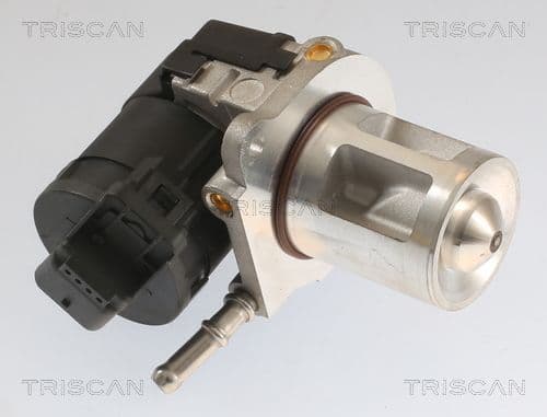 Supapa EGR TRISCAN 8813 23040