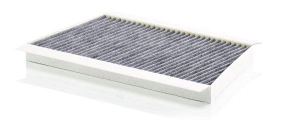Filtru, aer habitaclu MTR 12902998