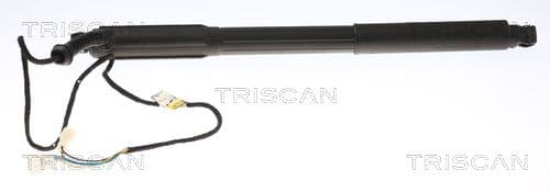Amortizor portbagaj TRISCAN 8710 11304