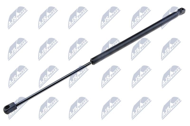 Amortizor portbagaj NTY AE-FR-008