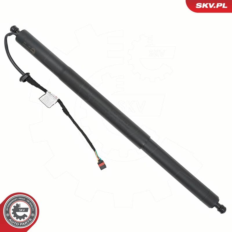 Motor electric, haion ESEN SKV 52SKV989