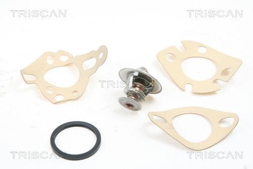 termostat,lichid racire TRISCAN 8620 2182